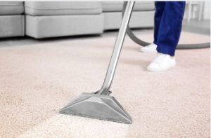 rug cleaning and disinfection Adelaide